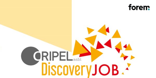 site discovery job_1