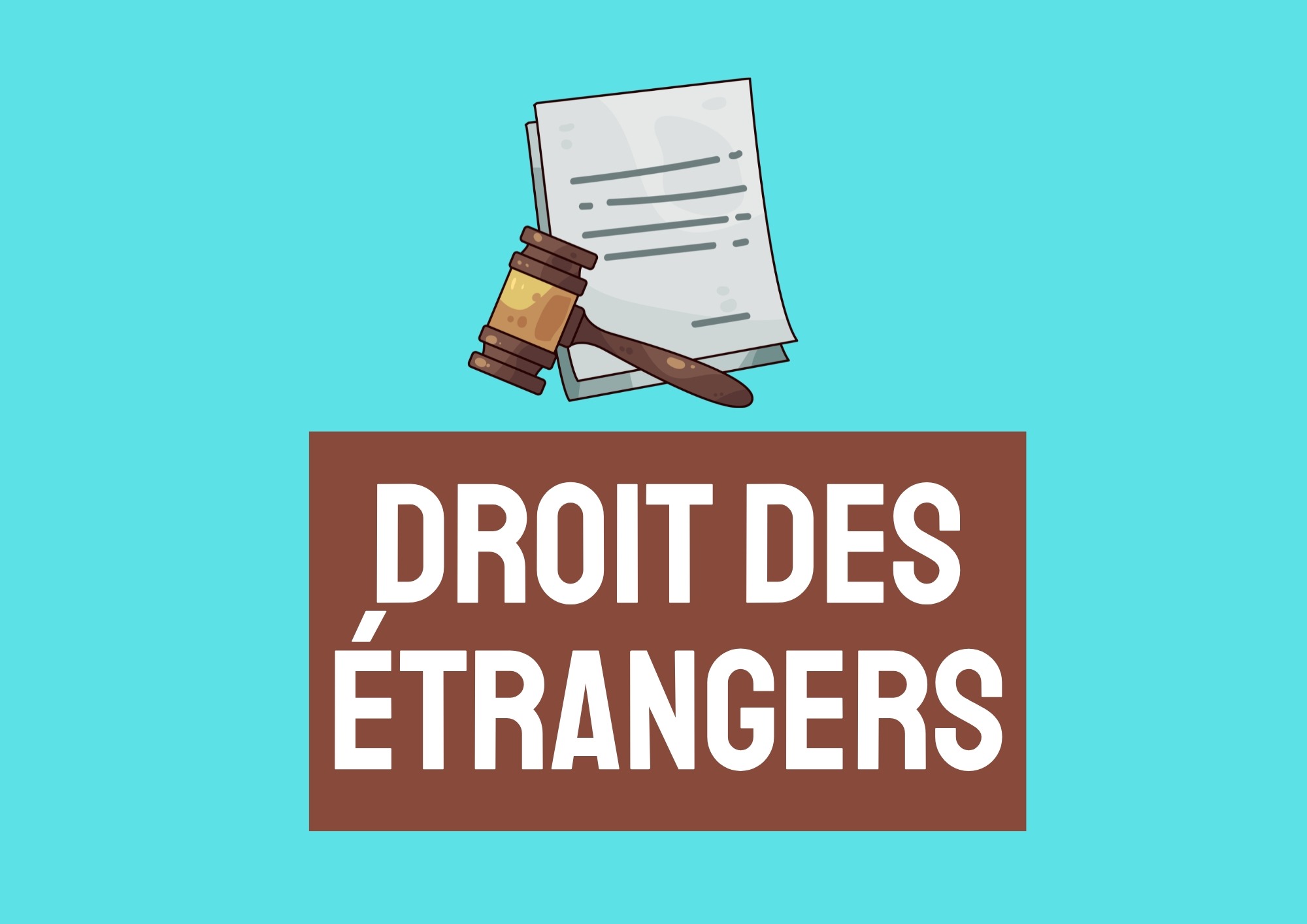 Formation Droit des étrangers
