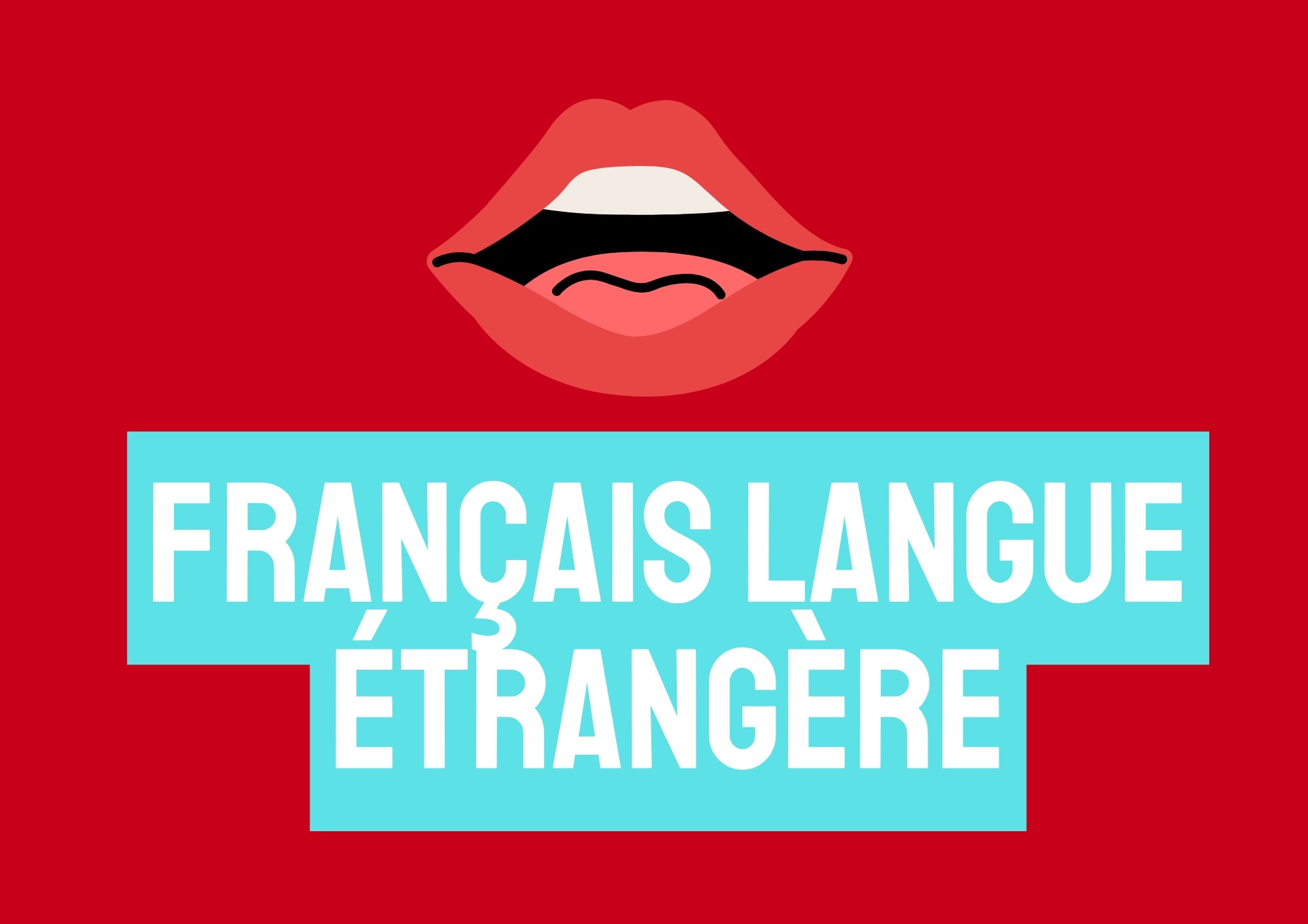 Formation Français langue étrangère
